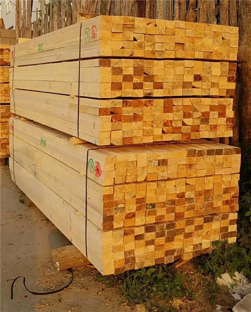 山東建筑工地方木與廣西欽州匯森建材報價解析
